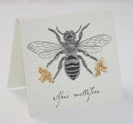 Bee Stud Earrings Gold Natural History