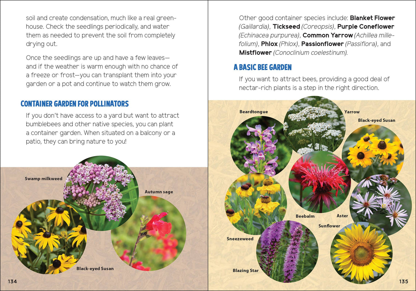Pollinators & Native Plants for Kids