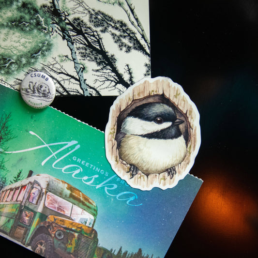 Chickadee in Cavity 3" Vinyl Magnet