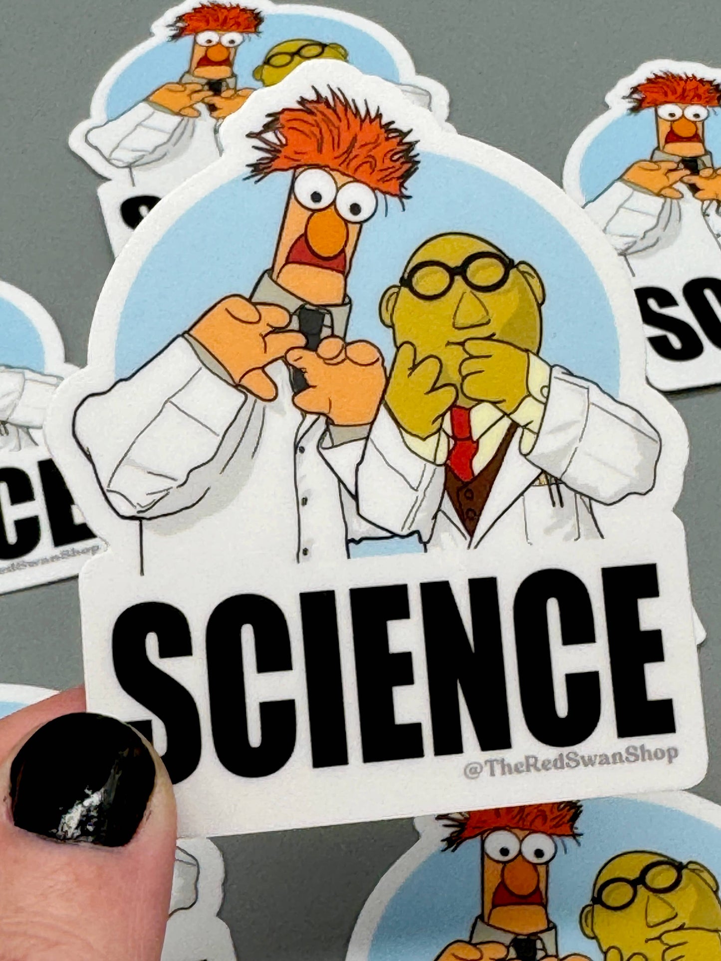 Vinyl Decal - The Muppets - Bunsen and Beaker