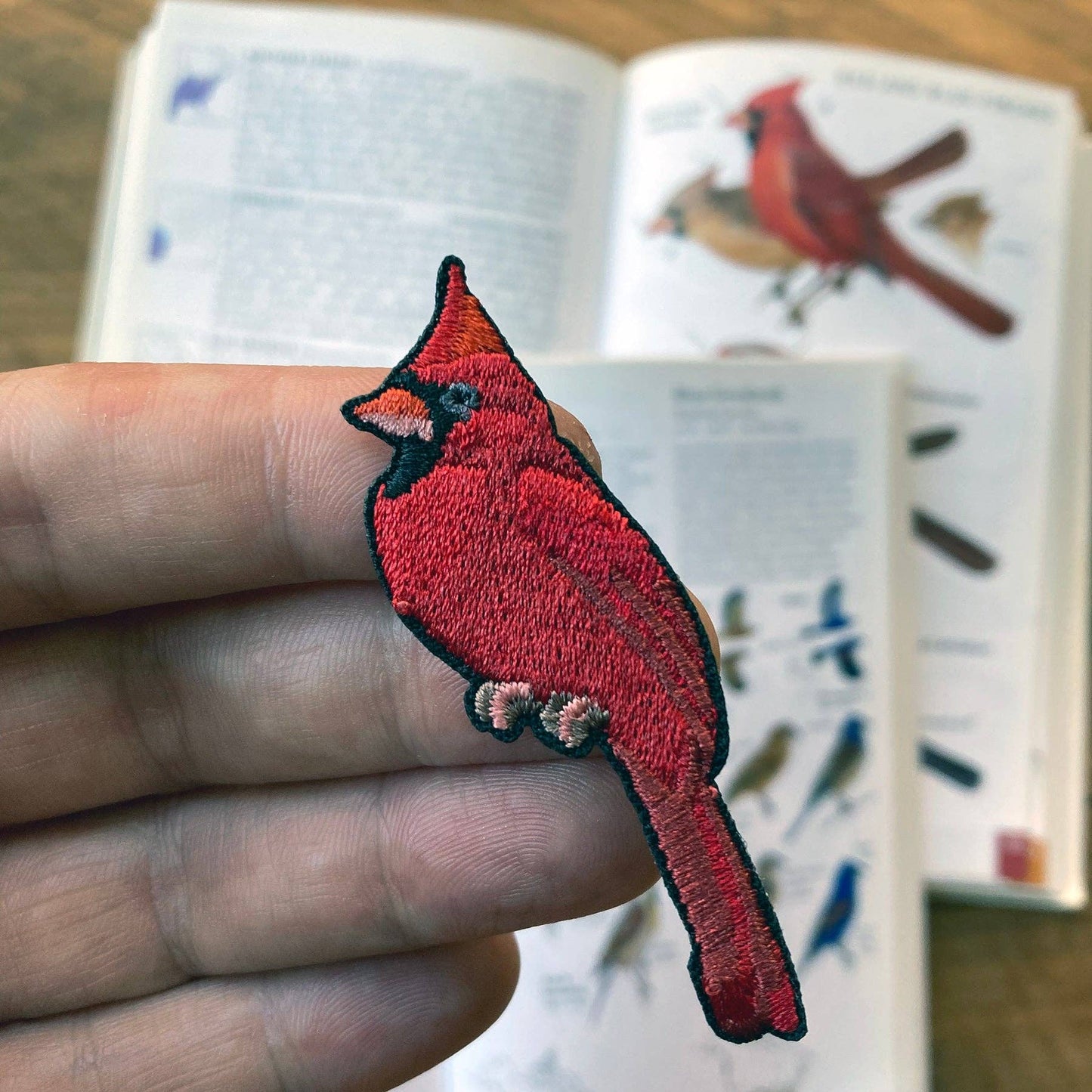 Northern Cardinal Patch