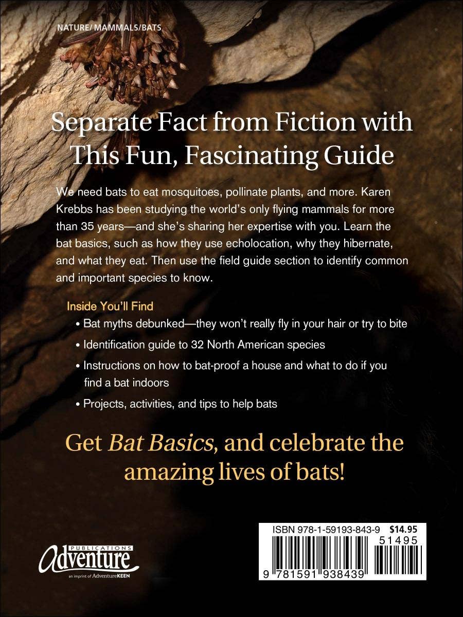 Bat Basics (Paperback)