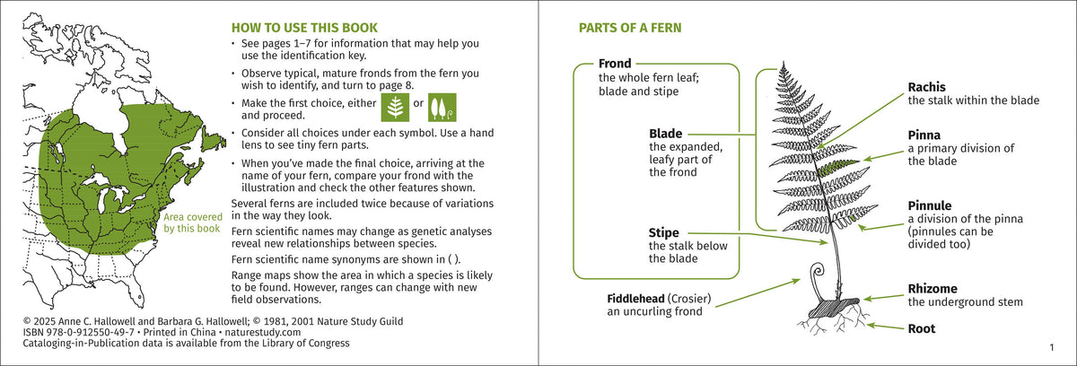 Fern Finder Eastern 3rd Edition