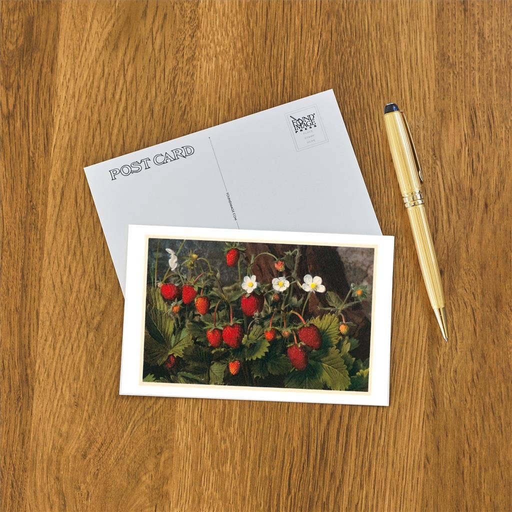 Postcard FR-159 Strawberry Plant