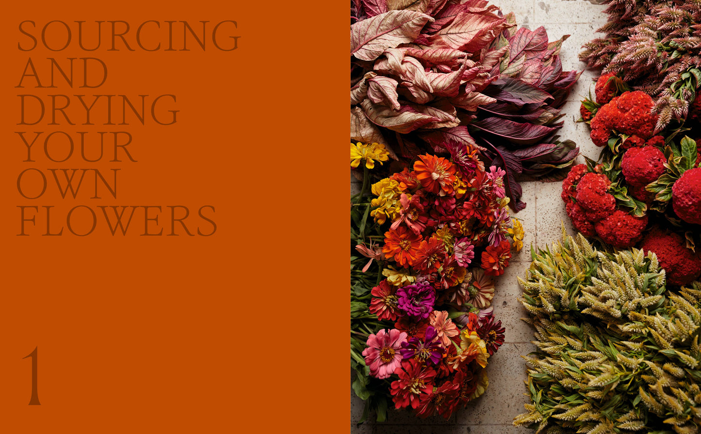 Designing with Dried Flowers by Hannah Muller (Hardcover)