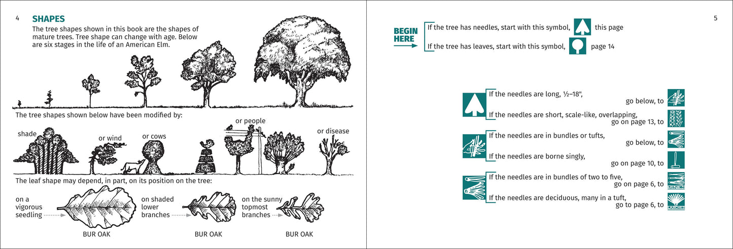 Tree Finder Eastern 3rd Edition