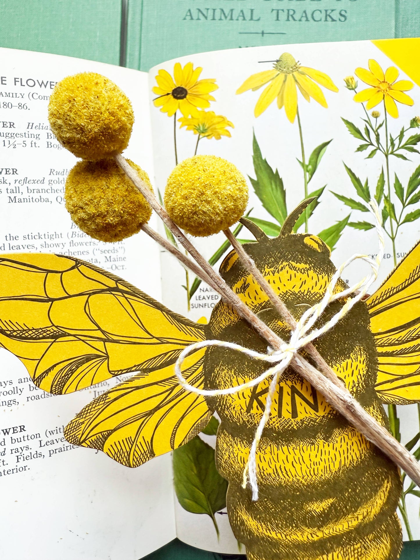 Bee kind letterpress card