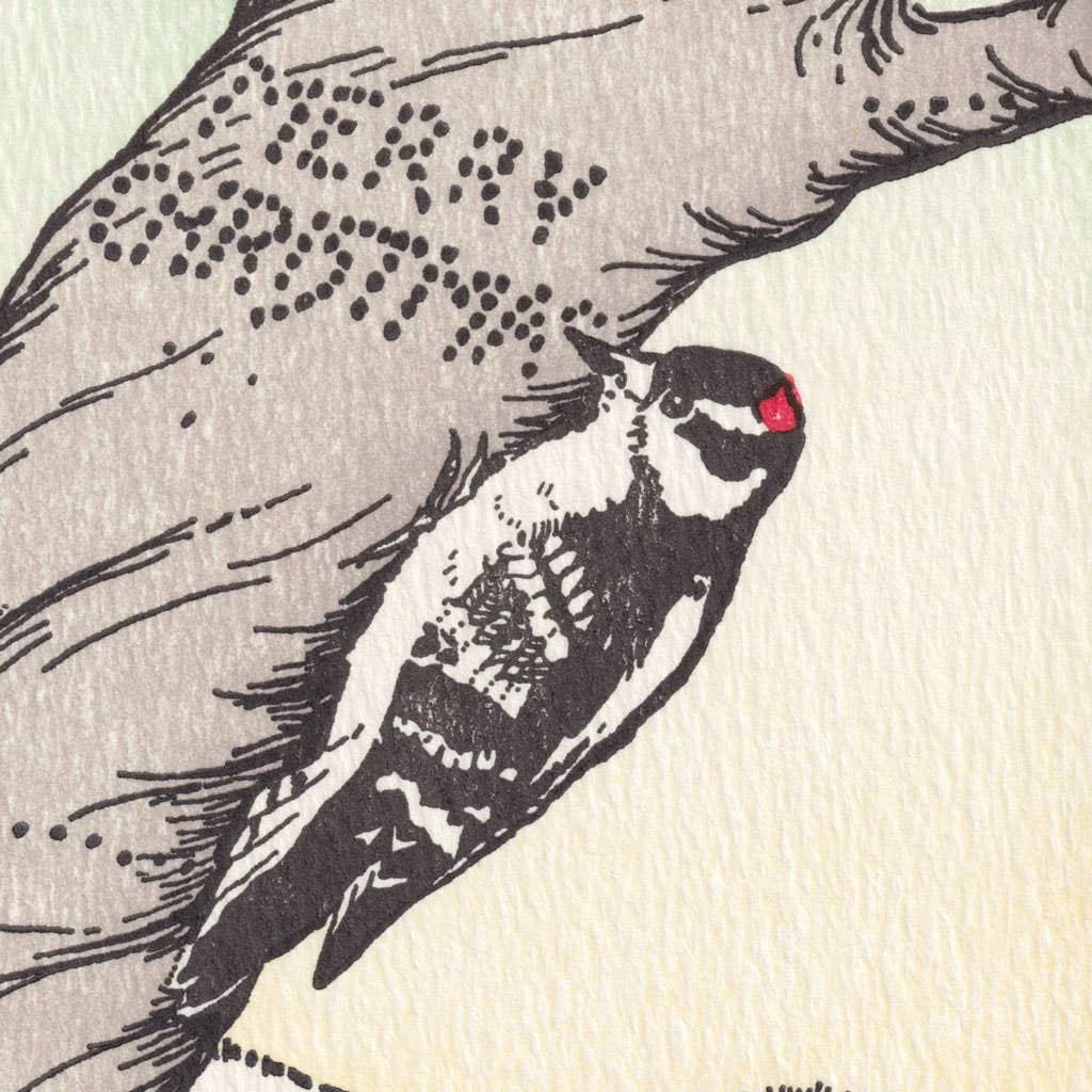 Woodpecker Christmas