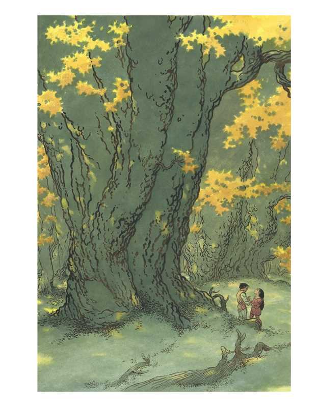 Books of Earthsea by Ursula  K. Le Guin