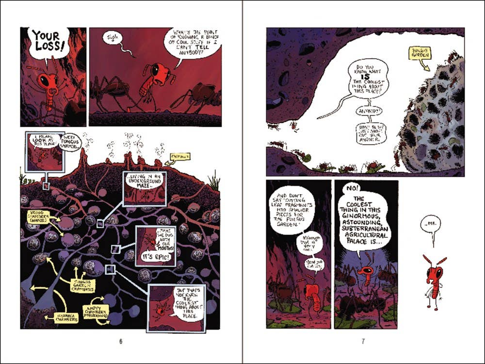 Ant Story : A Graphic Novel : Jay Hosler