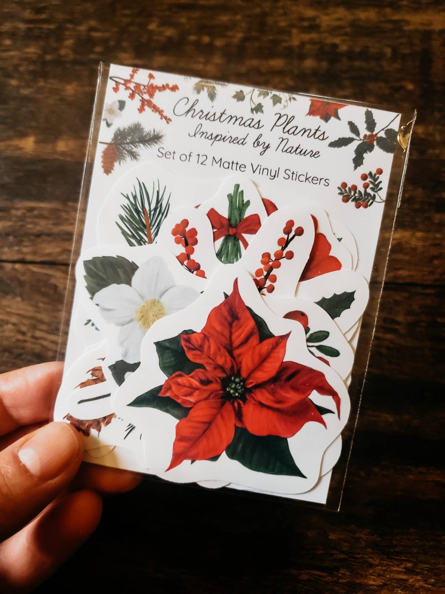 Christmas Plants Sticker Pack, Set of 12 Stickers