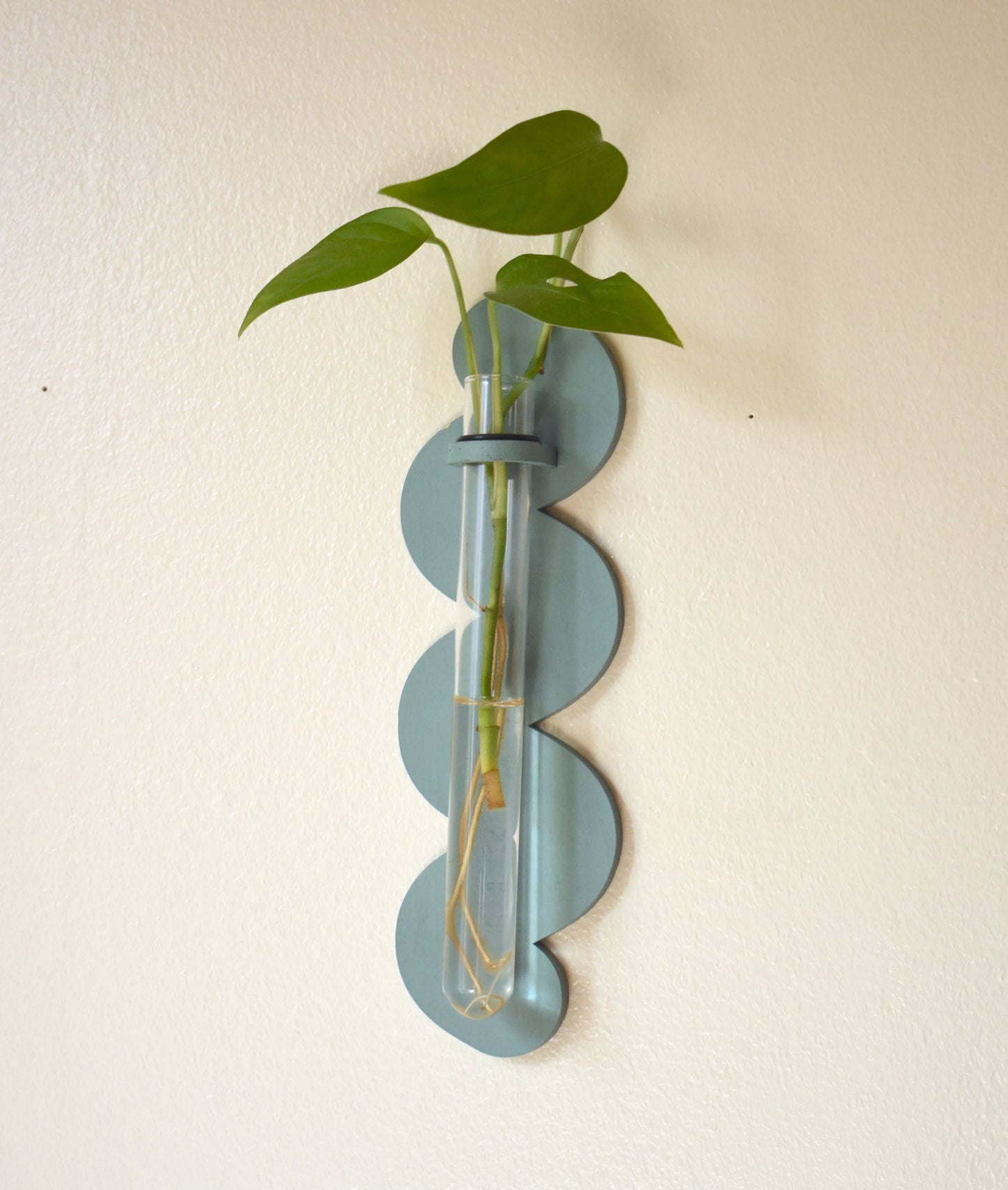 Wiggle Plant Propagator - Wall Hanging