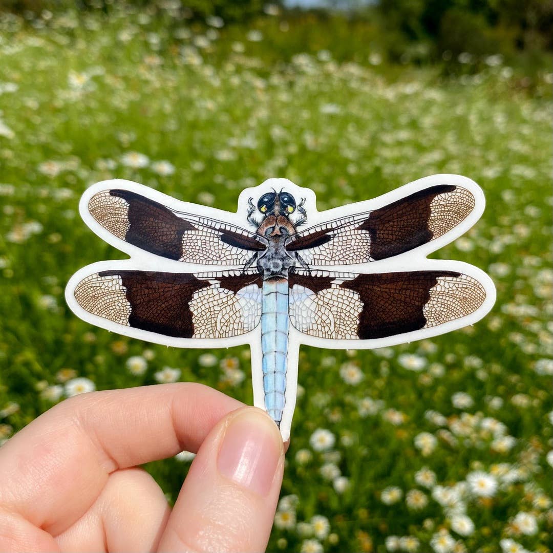 Common Whitetail Dragonfly Clear Weatherproof Vinyl Sticker