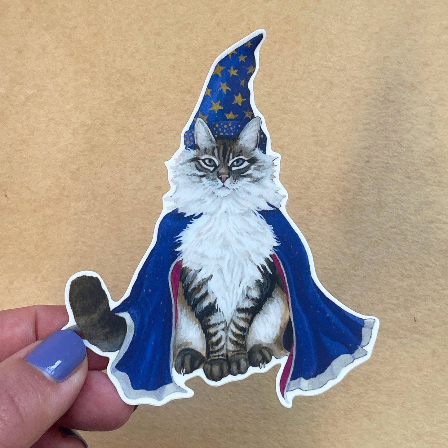 Cat Wizard Vinyl STICKER