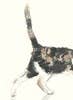 For the Love of Cats: 25 Postcards