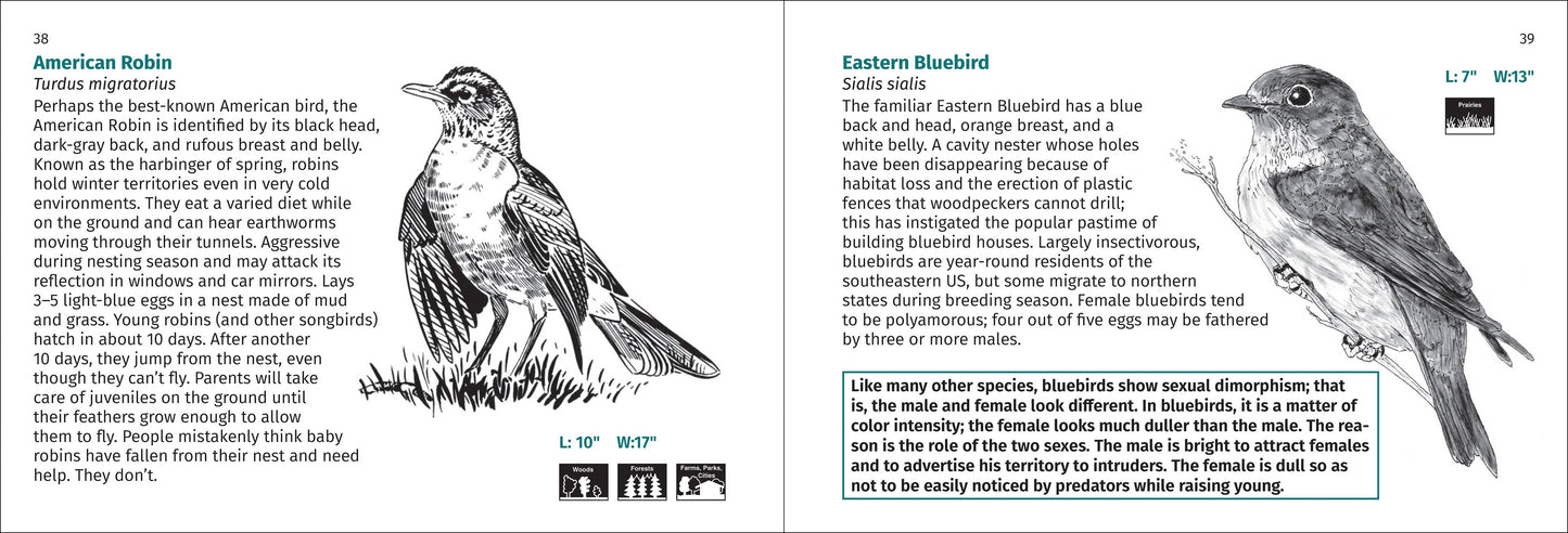 Bird Finder 2nd Edition