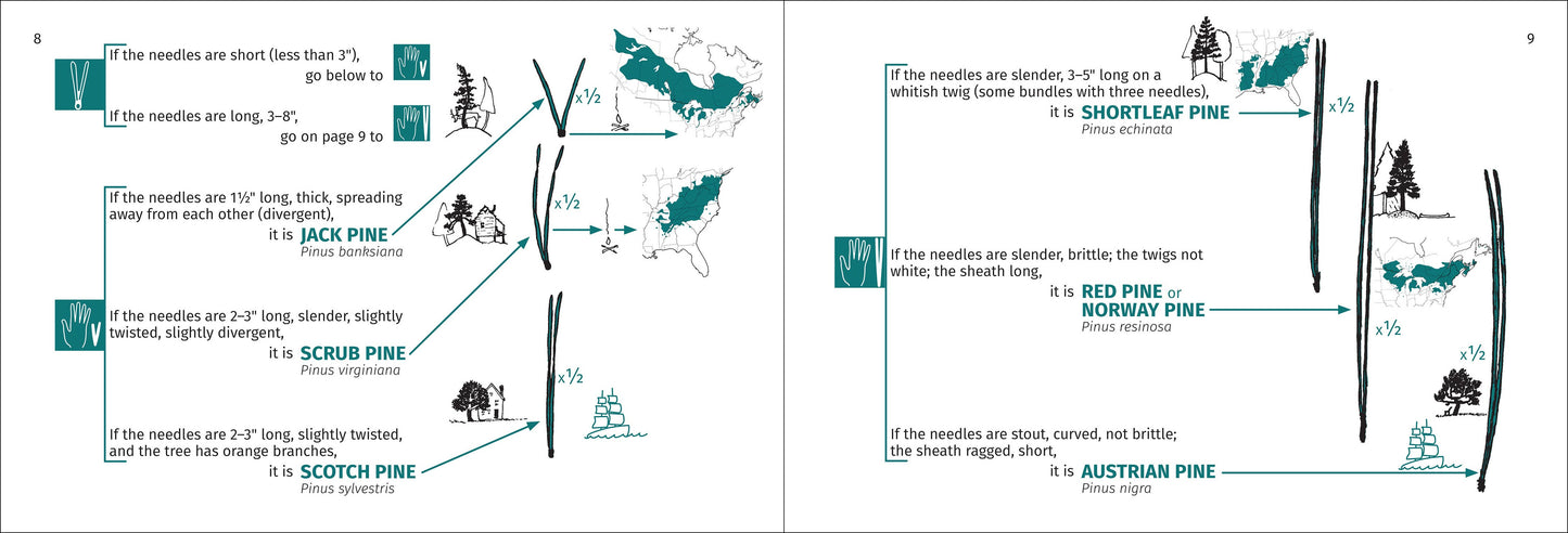 Tree Finder Eastern 3rd Edition