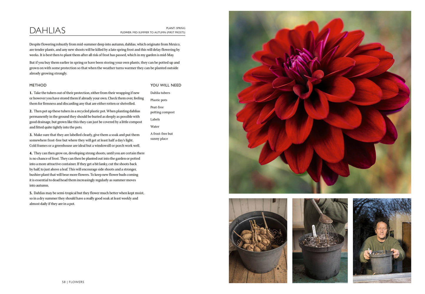 The Gardening Book