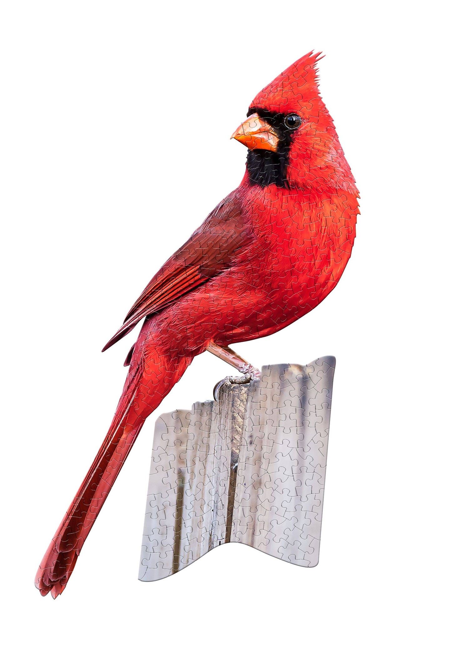I AM CARDINAL 300 piece jigsaw adult puzzle - Great gift!