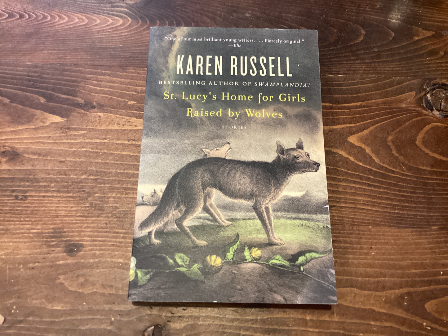 St. Lucy's Home for Girls Raised by Wolves by Karen Russell (Paperback)