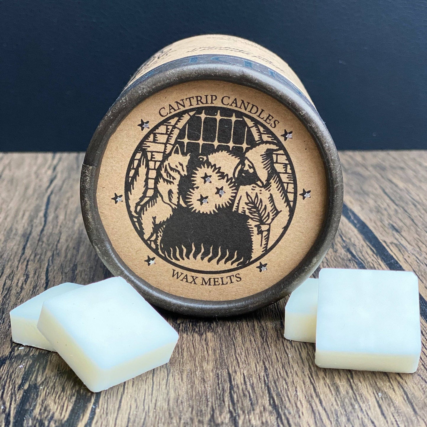 Realm of Shadows 5oz Candle Wax Melts