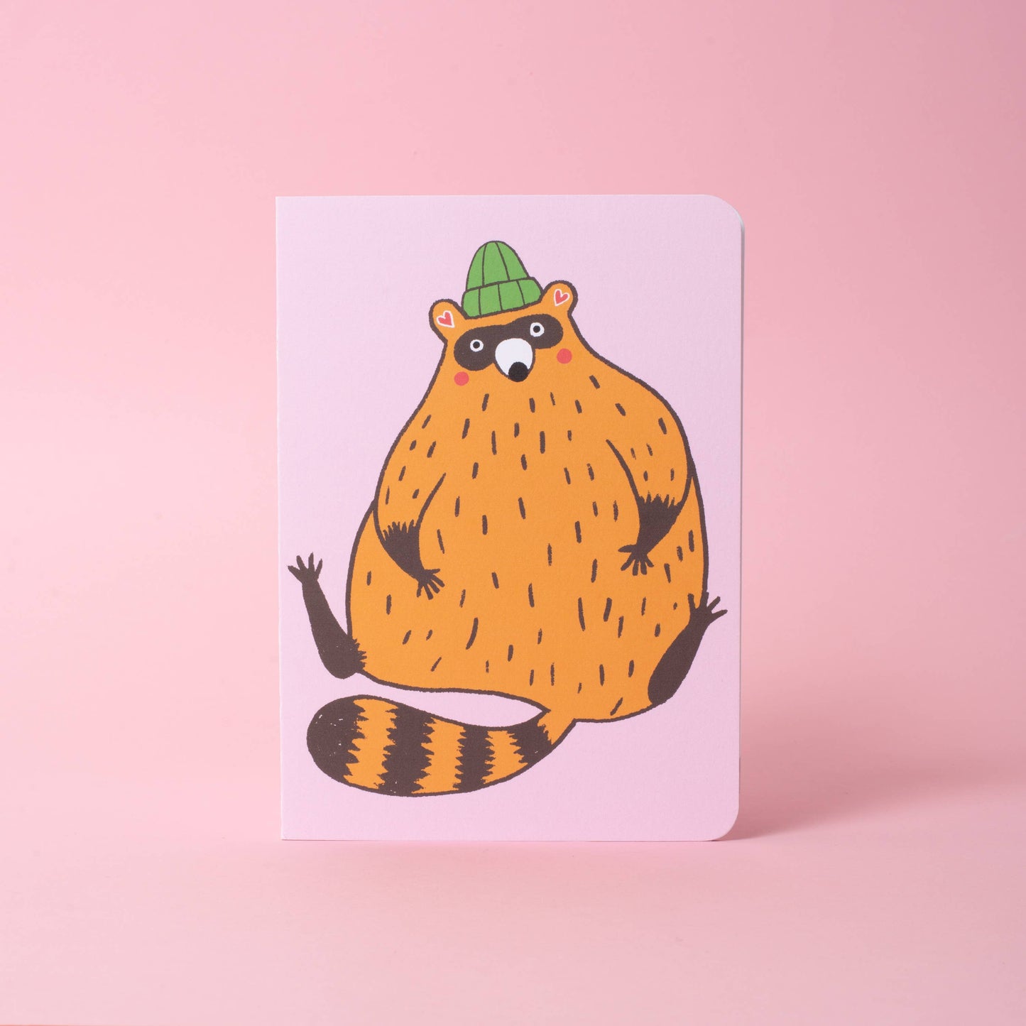 Fat Raccoon B6 Blank Notebook