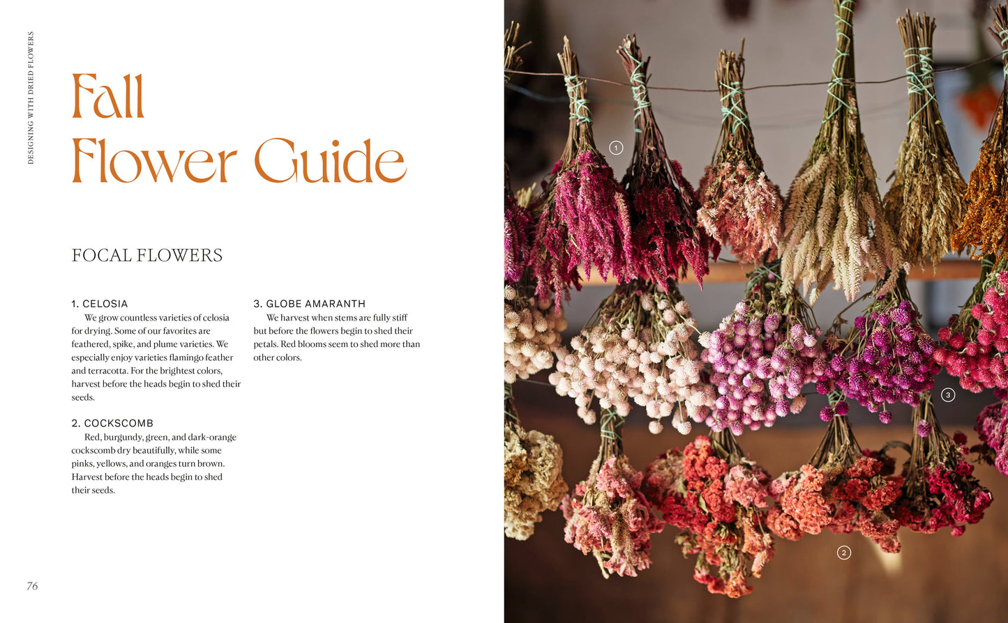 Designing with Dried Flowers by Hannah Muller (Hardcover)