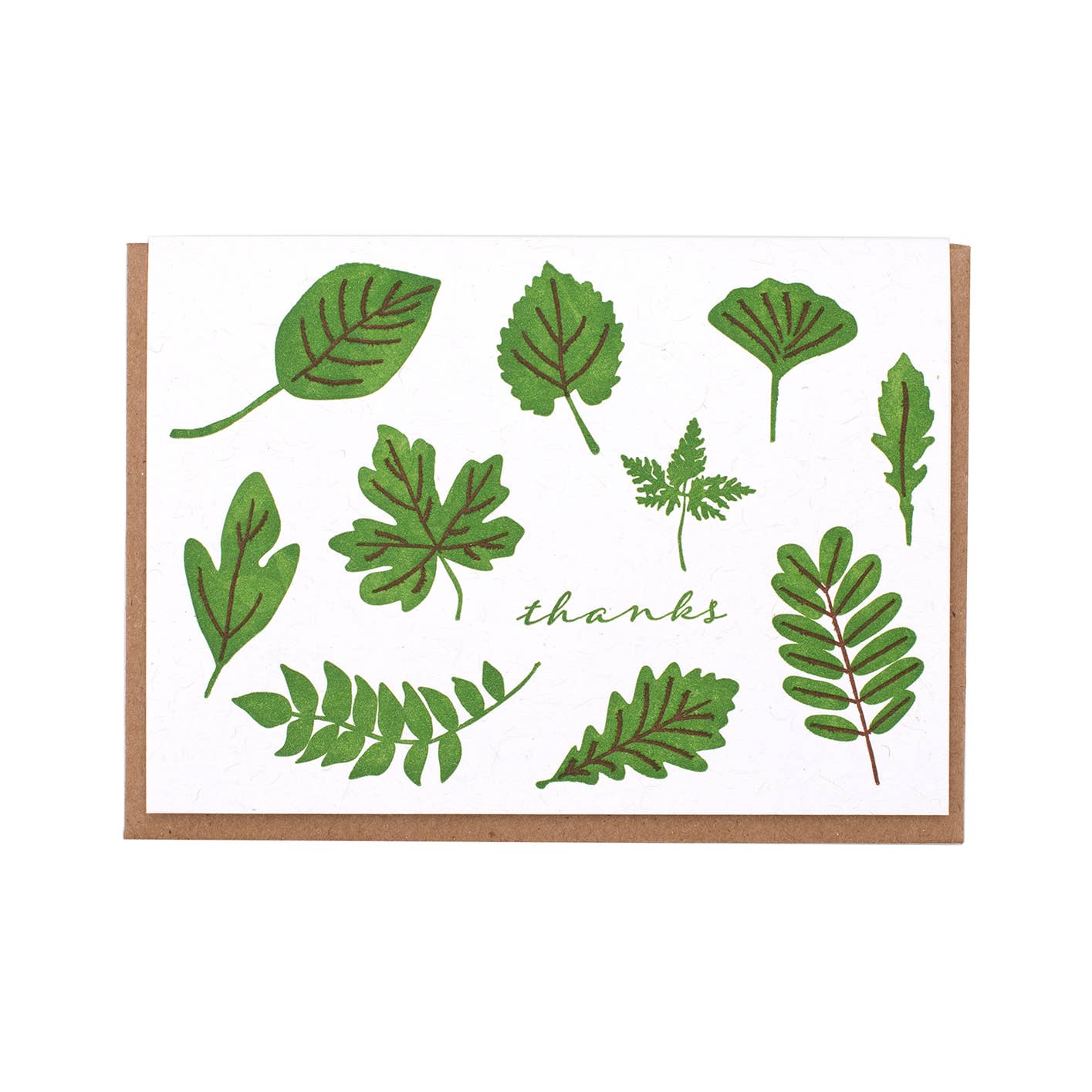 Leaf Thanks Greeting Card Box Set