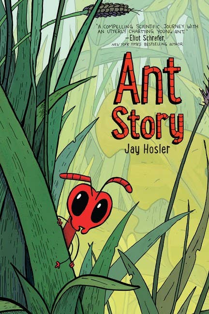 Ant Story : A Graphic Novel : Jay Hosler