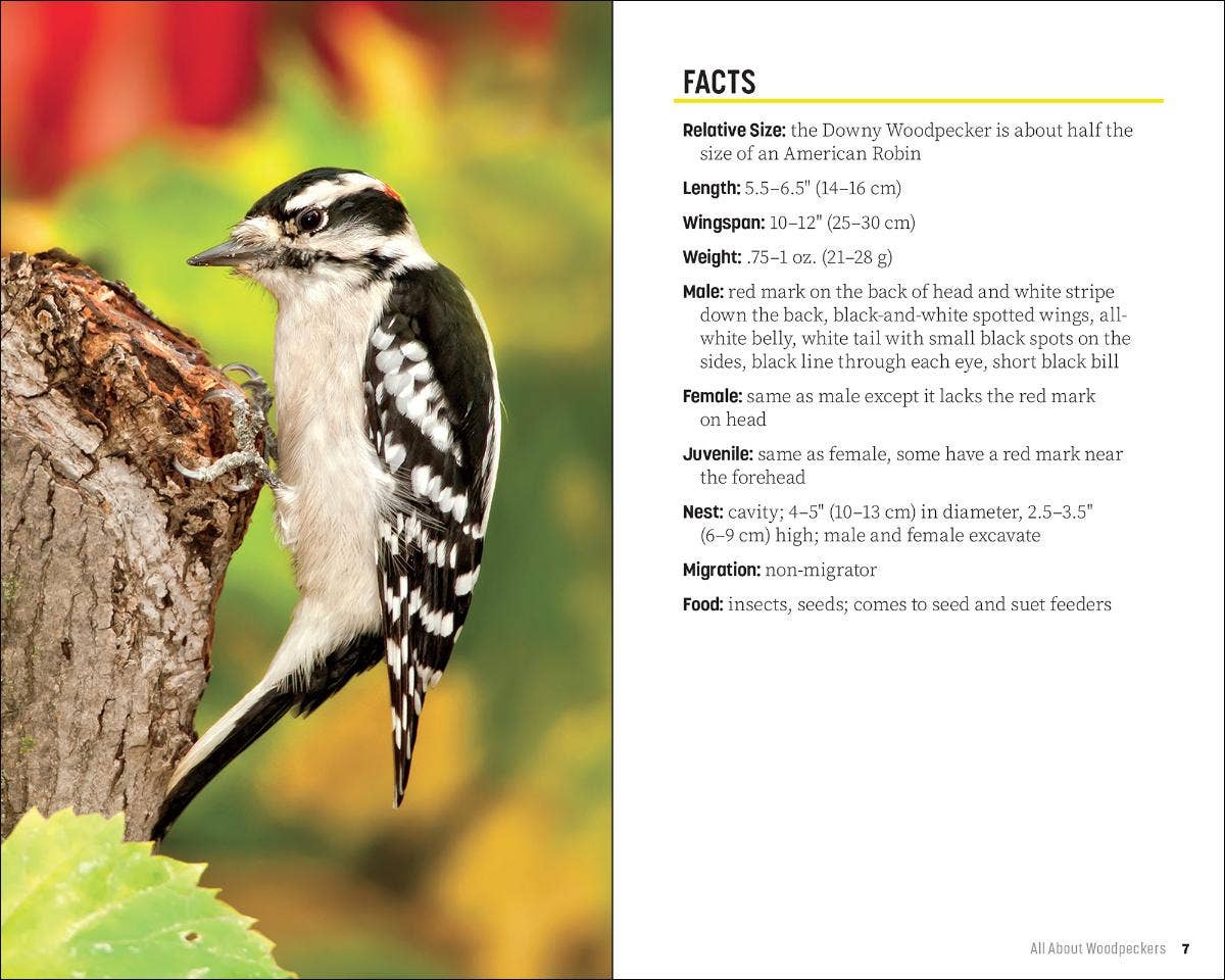 Attracting & Feeding Woodpeckers (Paperback)