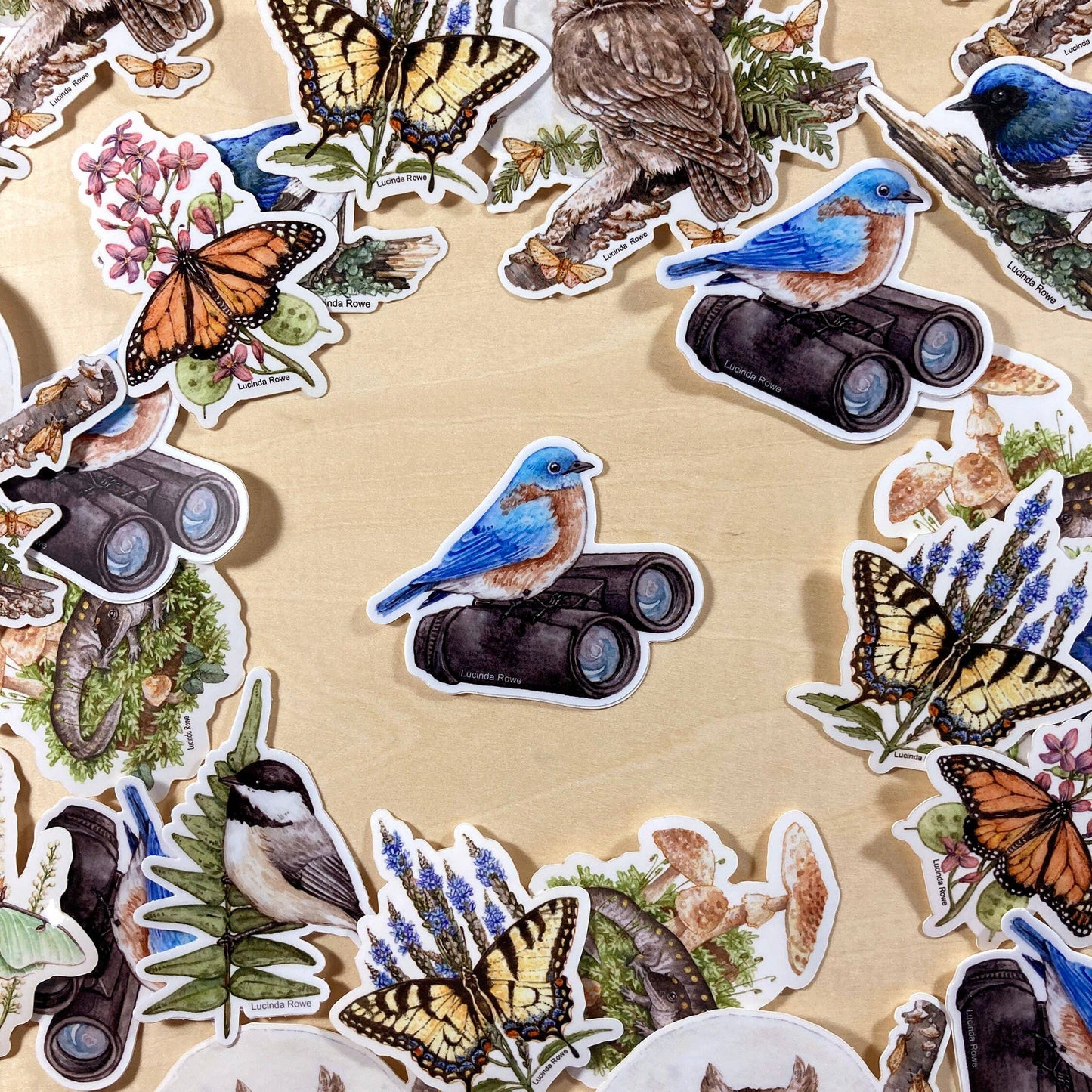 Vinyl Sticker - Eastern Bluebird On Binoculars