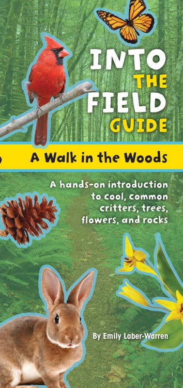 Walk in the Woods by Emily Laber-Warren