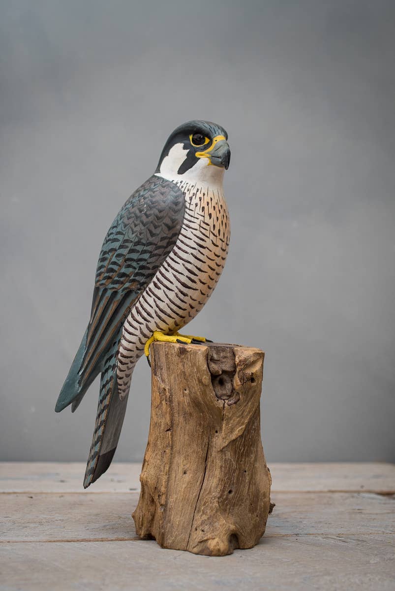 Peregrine Falcon - 12"H - Hand Carved Figurine