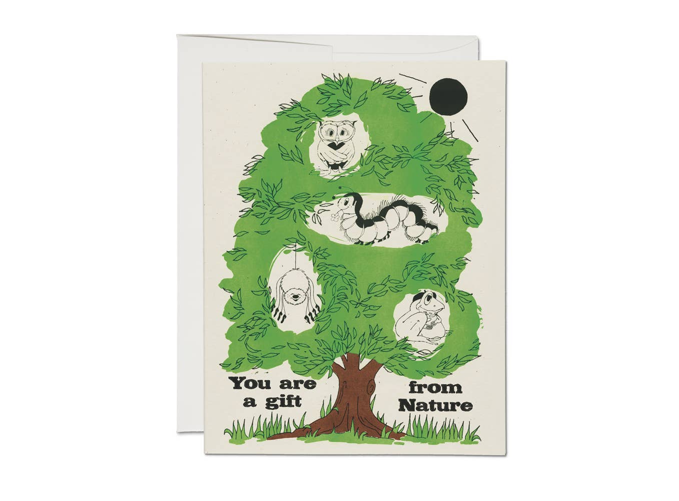 Gift from Nature encouragement greeting card