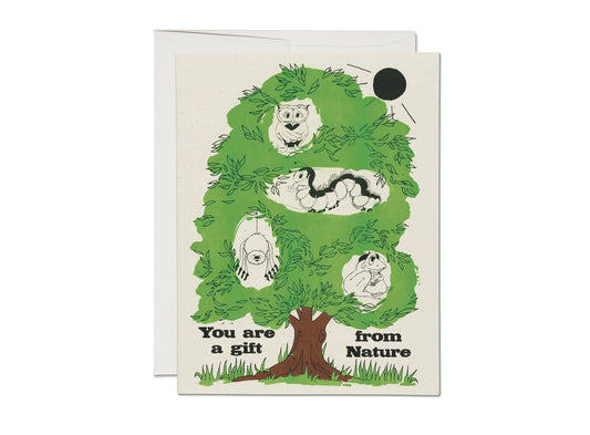 Gift from Nature encouragement greeting card