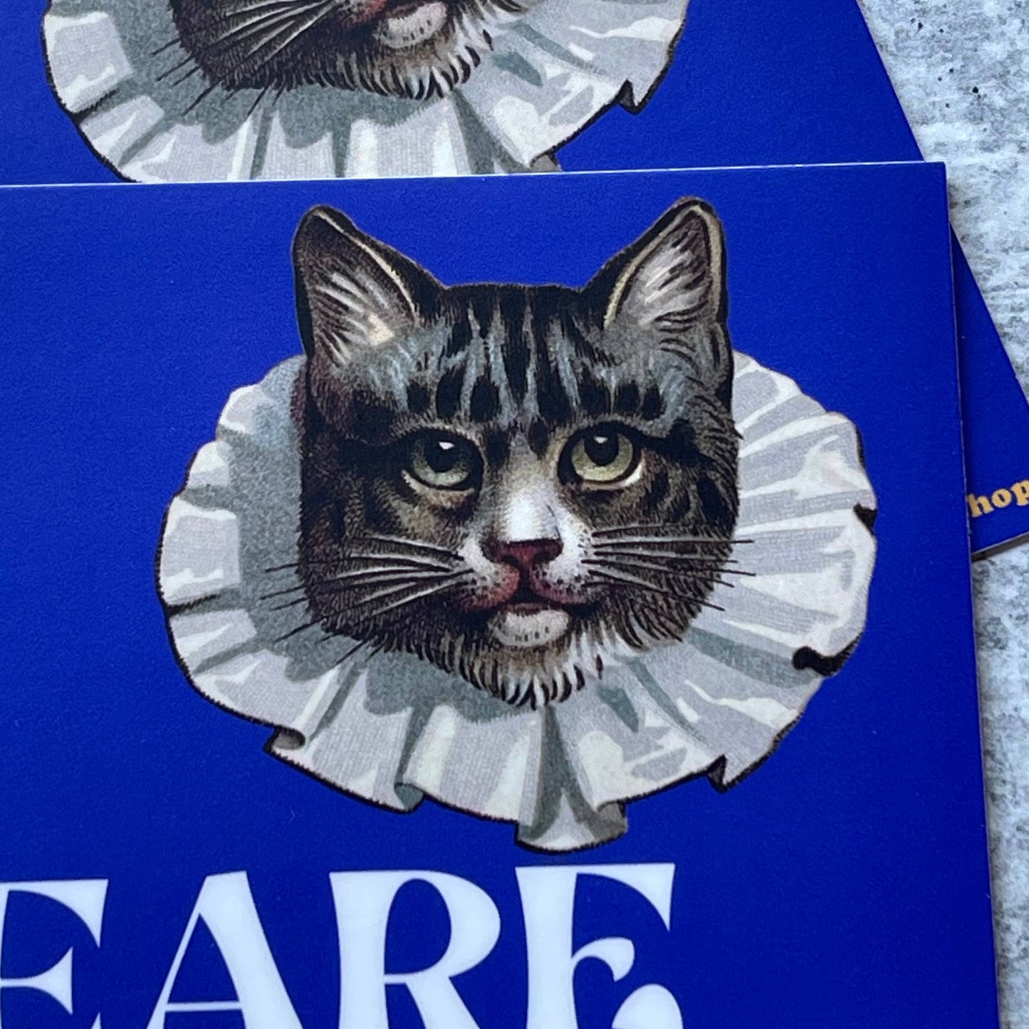 Cat is Pro Shakespeare & loud about it Funny bumper sticker