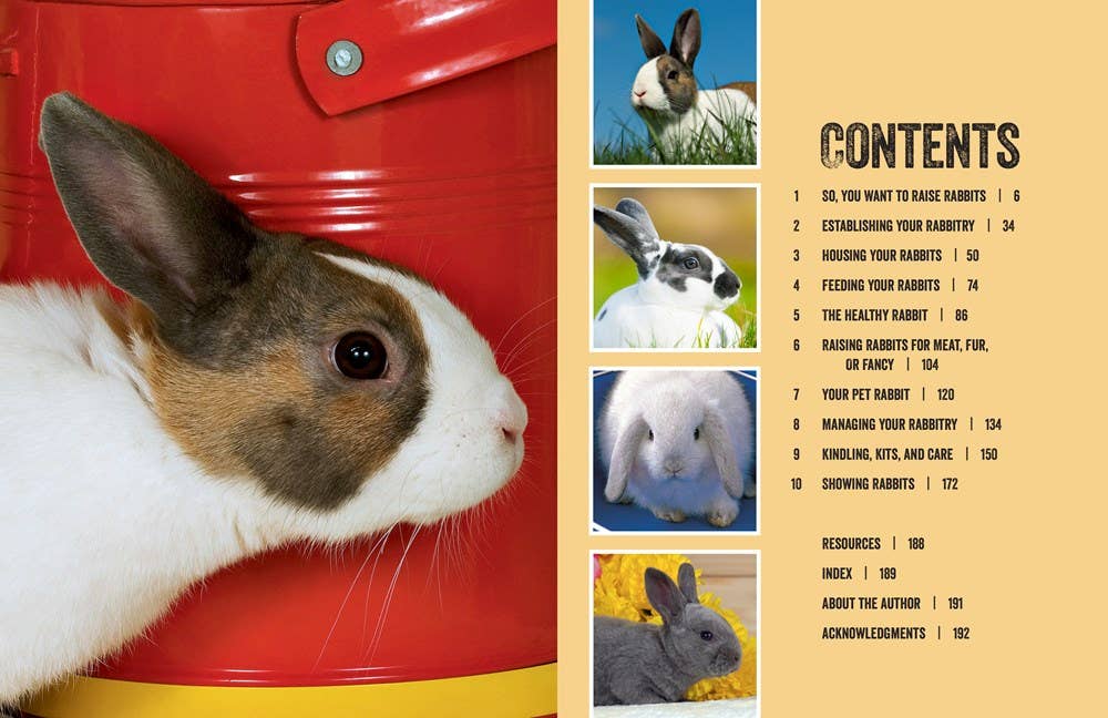 How To Raise Rabbits: Everything You Need to Know, Updated