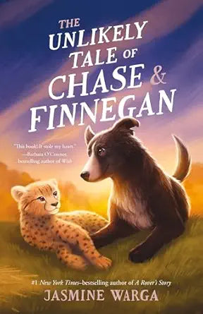 The Unlikely Tale of Chase & Finnegan by Jasmine Warga