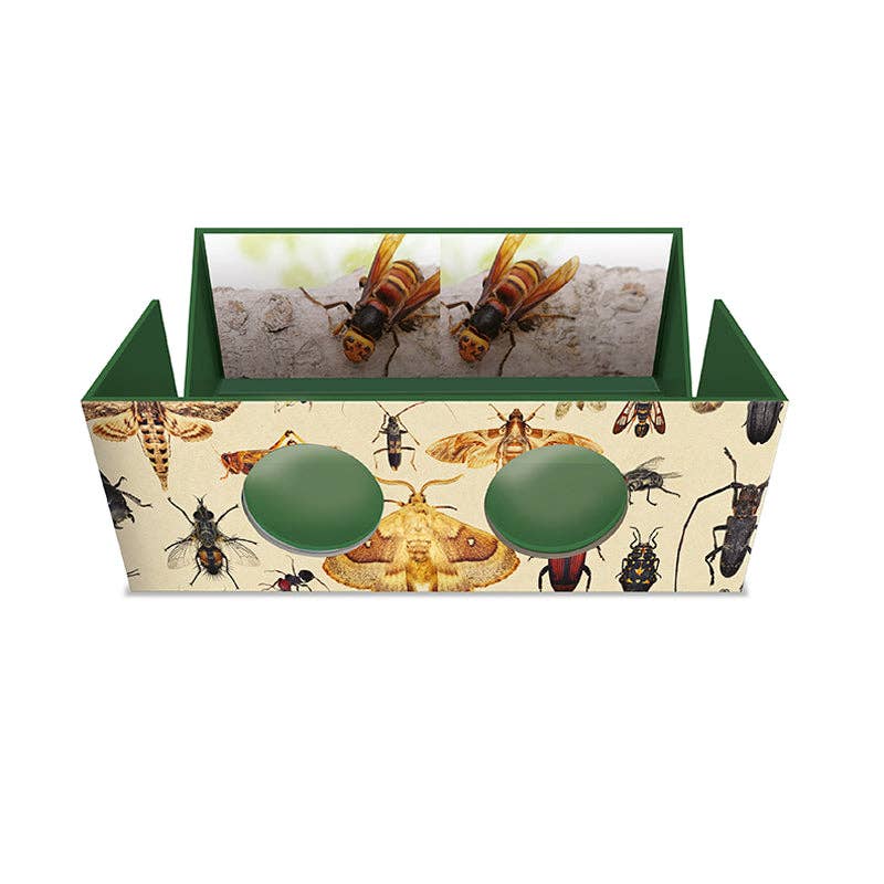Magnificent Box of Bugs and Insects – 3D Viewer (NEW!)