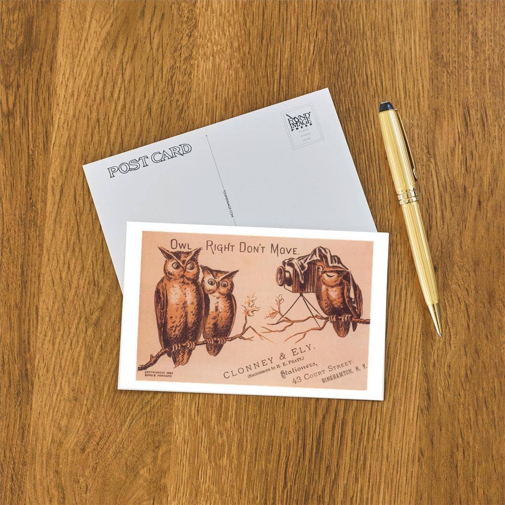 Postcard BD-524 Owl Right Don't Move