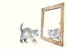 For the Love of Cats: 25 Postcards