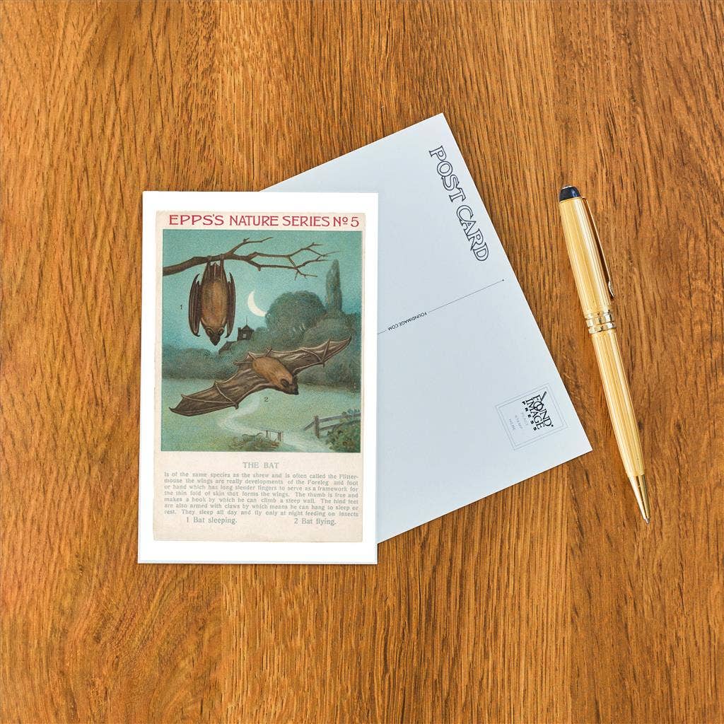 Postcard AN-51 Facts about Bats