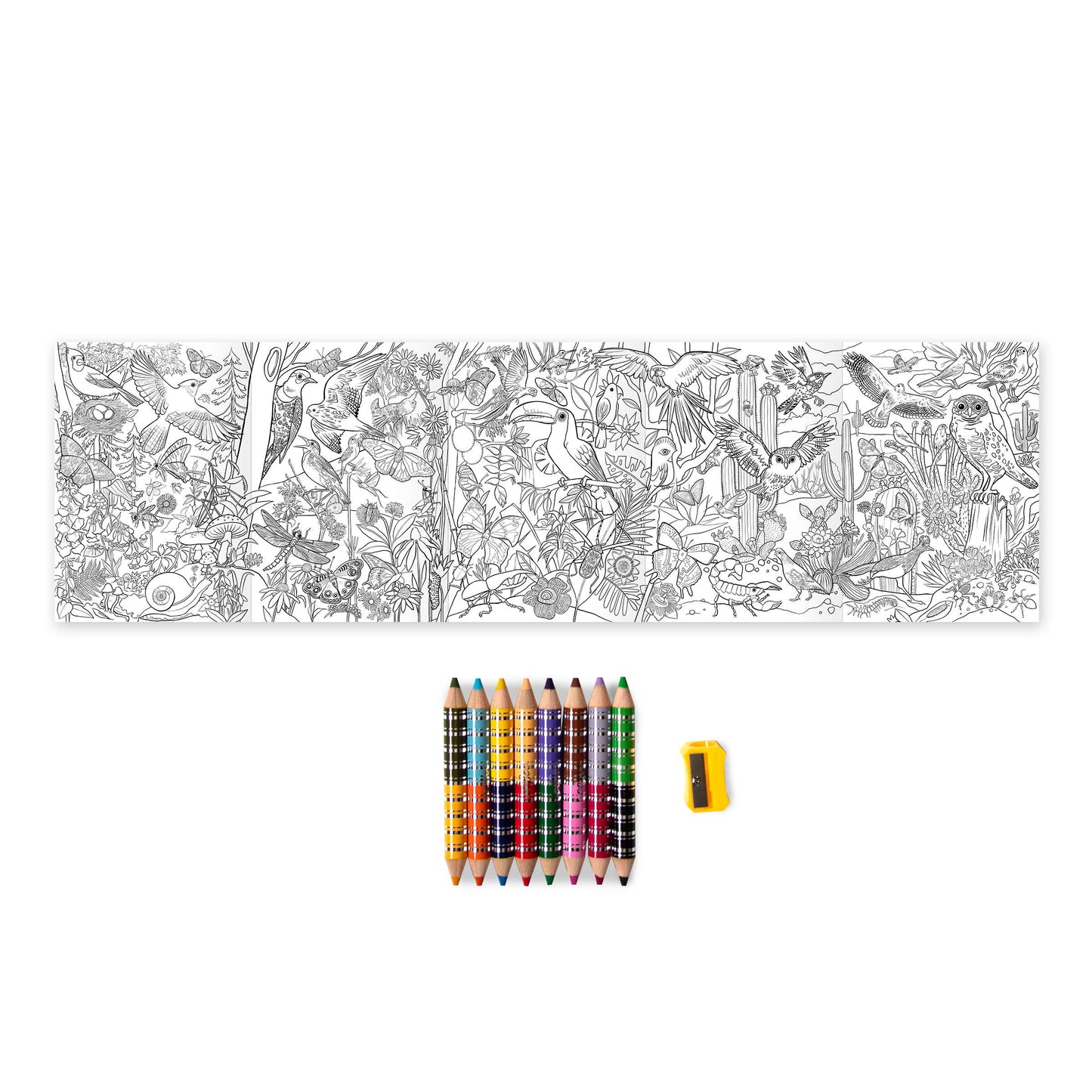 Bird & Butterfly 8 Biggie Pencils with Mini Mural Bundle