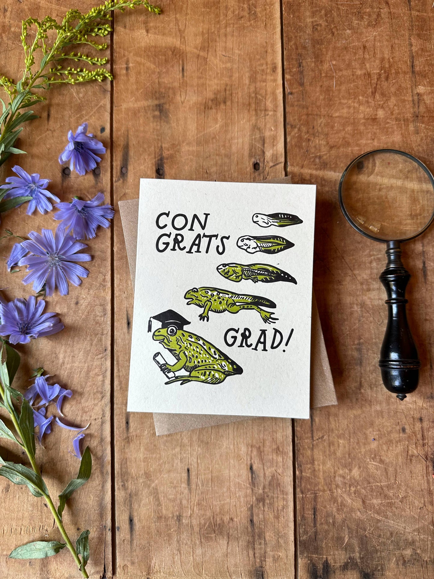 Frog Graduation Card - letterpress