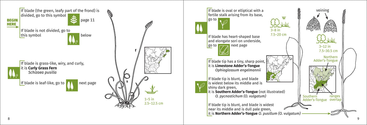 Fern Finder Eastern 3rd Edition