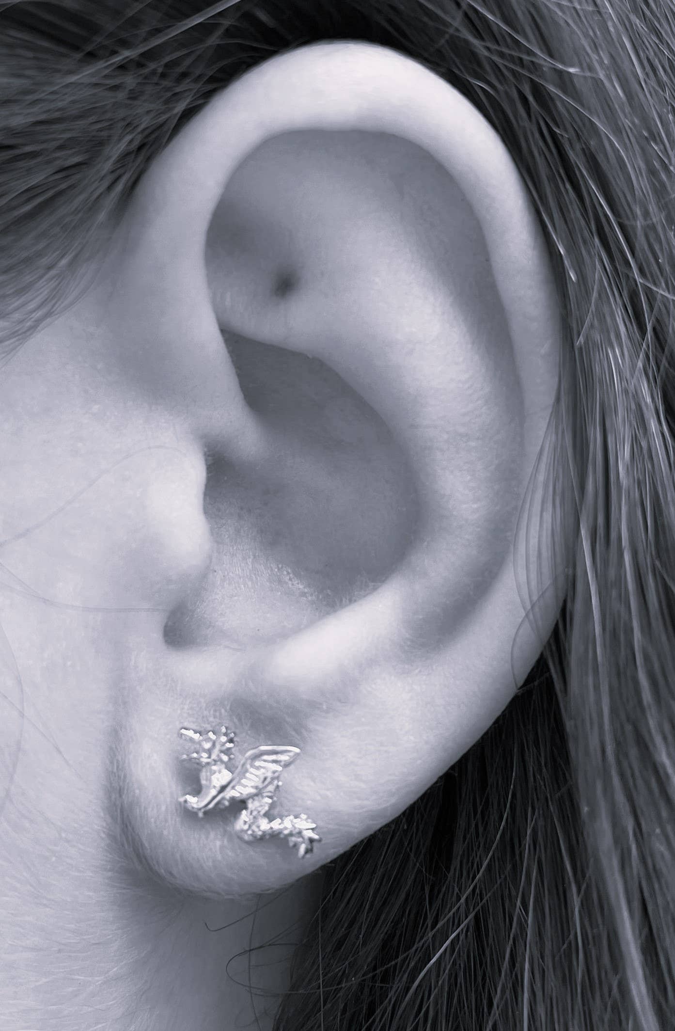 Dragon Earrings - sterling silver Natural History