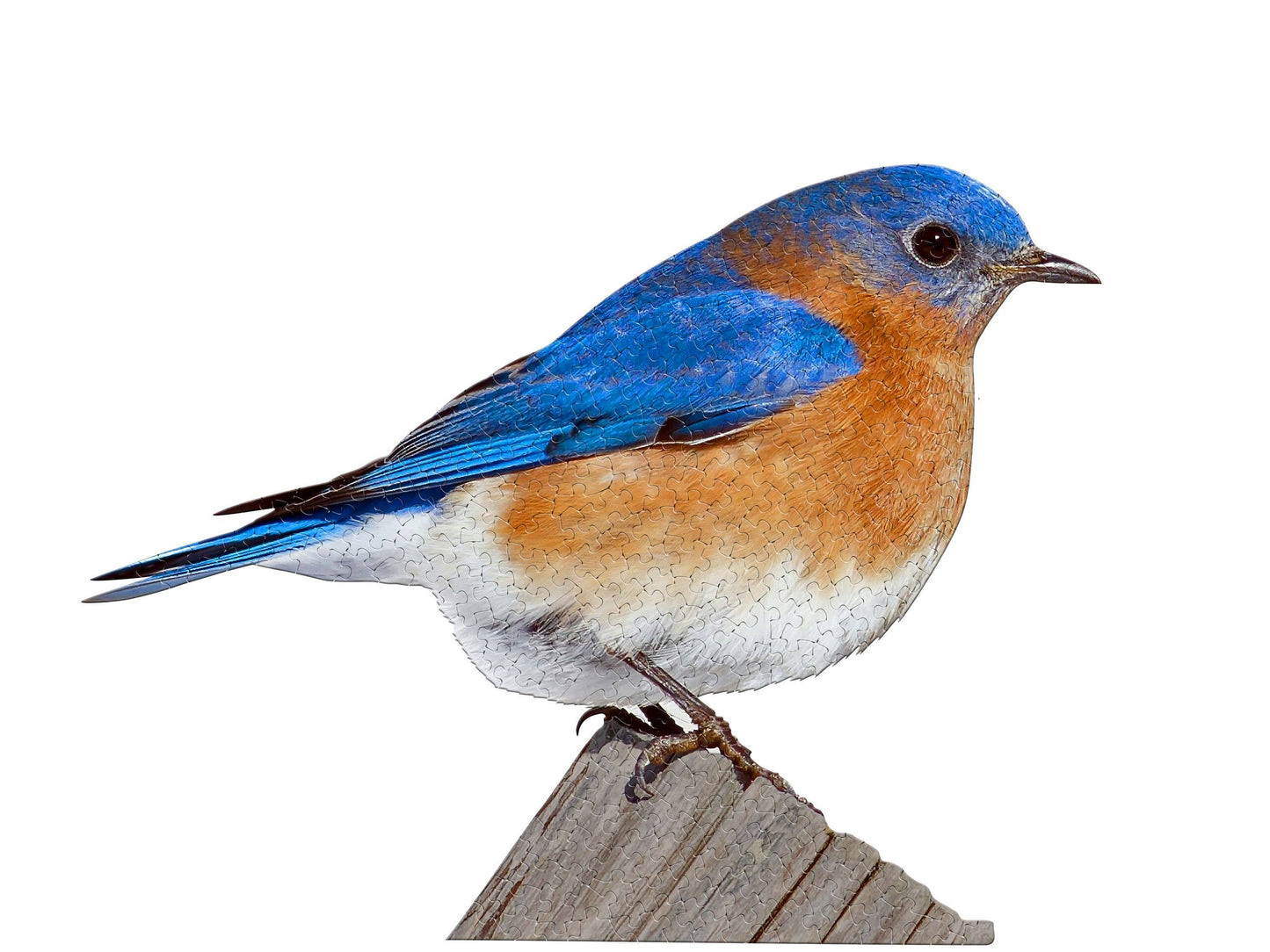 I AM Bluebird 300 piece jigsaw puzzle - gift