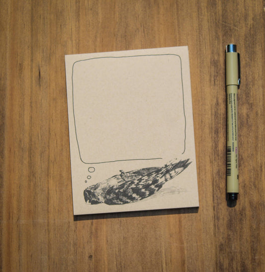 Downy Woodpecker Notepads - 2 Pack