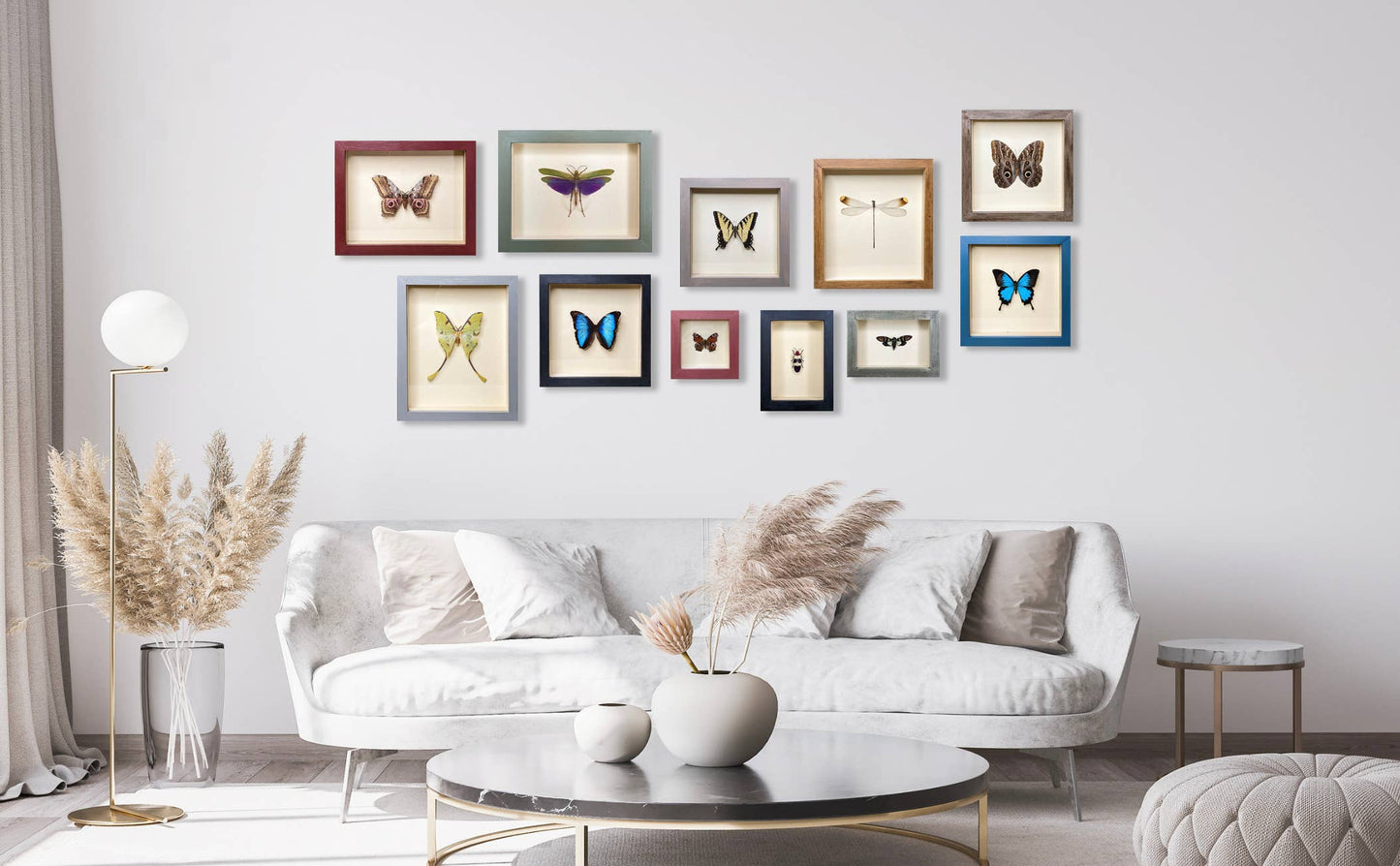Death's-Head Hawkmoth Shadowbox