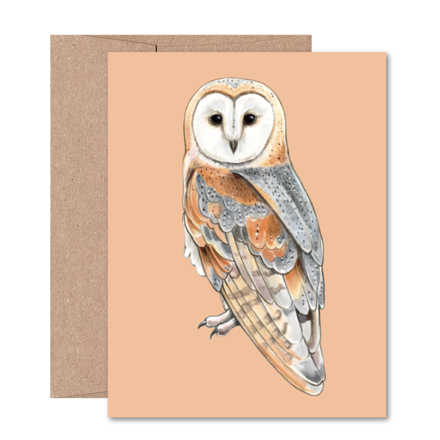 North American Owls Boxed Card Set (8 Cards)